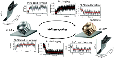 Graphical abstract: Structural kinetics of a Pt/C cathode catalyst with practical catalyst loading in an MEA for PEFC operating conditions studied by in situ time-resolved XAFS