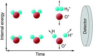 Graphical abstract: Rapid bond rearrangement in core-excited molecular water