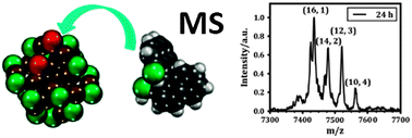 Graphical abstract: The fate of Au25(SR)18 clusters upon ligand exchange with binaphthyl-dithiol: interstaple binding vs. decomposition