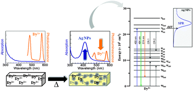 Graphical abstract: Influence of Ag nanoparticles on the luminescence dynamics of Dy3+ ions in glass: the “plasmonic diluent” effect