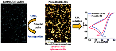 Graphical abstract: Electrogeneration of platinum nanoparticles in a matrix of dendrimer–carbon nanotubes
