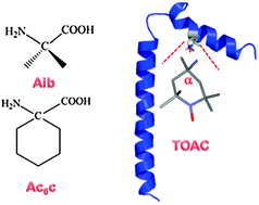 Graphical abstract: An improved AMBER force field for α,α-dialkylated peptides: intrinsic and solvent-induced conformational preferences of model systems