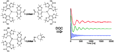 Graphical abstract: Measurements of short distances between trityl spin labels with CW EPR, DQC and PELDOR