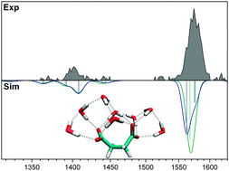 Graphical abstract: Solvent-mediated folding of dicarboxylate dianions: aliphatic chain length dependence and origin of the IR intensity quenching