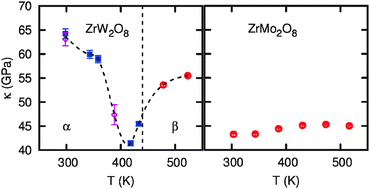 Graphical abstract: Orientational order-dependent thermal expansion and compressibility of ZrW2O8 and ZrMo2O8