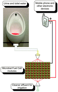 Graphical abstract: Waste to real energy: the first MFC powered mobile phone