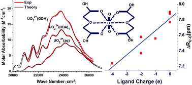 Graphical abstract: Theoretical analysis and quantification of the absorption spectra of uranyl complexes with structurally-related tridentate ligands