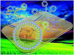 Graphical abstract: Gold(iii) stabilized over ionic liquids grafted on MCM-41 for highly efficient three-component coupling reactions