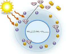 Graphical abstract: Production of gas phase NO2 and halogens from the photolysis of thin water films containing nitrate, chloride and bromide ions at room temperature