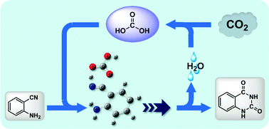 Graphical abstract: Theoretical study on the reaction of CO2 and 2-aminobenzonitrile to form quinazoline-2,4(1H,3H)-dione in water without any catalyst