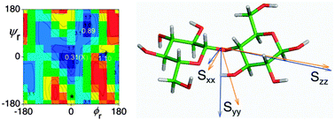 Graphical abstract: Detecting low-level flexibility using residual dipolar couplings: a study of the conformation of cellobiose