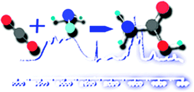 Graphical abstract: The formation of carbamate ions in interstellar ice analogues