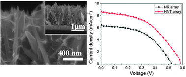 Graphical abstract: Dual-functional hetero-structured TiO2 nanotrees composed of rutile trunks and anatase branches for improved performance of quantum dot-sensitized solar cells