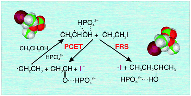 Graphical abstract: An efficient buffer-mediated control between free radical substitution and proton-coupled electron transfer: dehalogenation of iodoethane by the α-hydroxyethyl radical in aqueous solution