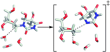 Graphical abstract: Hydrolysis of the damaged deoxythymidine glycol nucleoside and comparison to canonical DNA