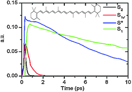 Graphical abstract: Excited state dynamics of β-carotene studied by means of transient absorption spectroscopy and multivariate curve resolution alternating least-squares analysis