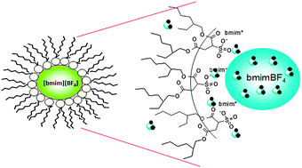 Graphical abstract: The effect of water on the microstructure and properties of benzene/[bmim][AOT]/[bmim][BF4] microemulsions