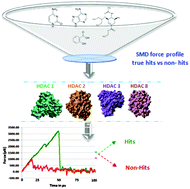 Graphical abstract: A steered molecular dynamics mediated hit discovery for histone deacetylases