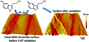 Graphical abstract: Investigation of film formation properties during electrochemical oxidation of serotonin (5-HT) at polycrystalline boron doped diamond