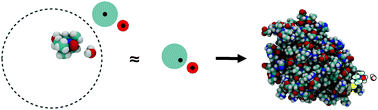 Graphical abstract: Rationalizing Overhauser DNP of nitroxide radicals in water through MD simulations