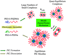 Graphical abstract: Stopped-flow kinetic studies of the formation and disintegration of polyion complex micelles in aqueous solution