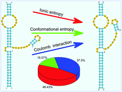 Graphical abstract: Exploring the electrostatic energy landscape for tetraloop–receptor docking