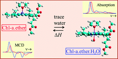 Graphical abstract: Formation of water–chlorophyll clusters in dilute samples of chlorophyll-a in ether at low temperature