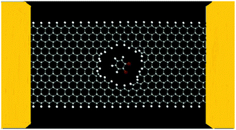 Graphical abstract: Graphene nanopores: electronic transport properties and design methodology