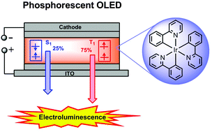 Graphical abstract: Principles of phosphorescent organic light emitting devices