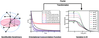 Graphical abstract: Orientational relaxation in semiflexible dendrimers