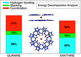 Graphical abstract: Exploring non-covalent interactions in guanine- and xanthine-based model DNA quadruplex structures: a comprehensive quantum chemical approach