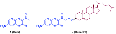 Graphical abstract: Photophysical behavior of a new cholesterol attached coumarin derivative and fluorescence spectroscopic studies on its interaction with bile salt systems and lipid bilayer membranes