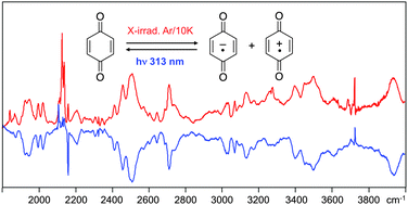 Graphical abstract: Vibronic spectra of the p-benzoquinone radical anion and cation: a matrix isolation and computational study