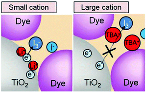 Graphical abstract: Effect of electrolyte constituents on the motion of ionic species and recombination kinetics in dye-sensitized solar cells