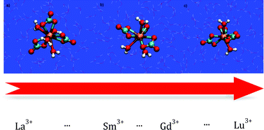 Graphical abstract: Hydration properties of lanthanoid(iii) carbonate complexes in liquid water determined by polarizable molecular dynamics simulations