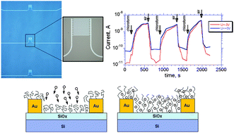 Graphical abstract: Electrical conductivity of insulating polymer nanoscale layers: environmental effects