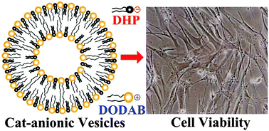 Graphical abstract: Effects of lipid composition on physicochemical characteristics and cytotoxicity of vesicles composed of cationic and anionic dialkyl lipids