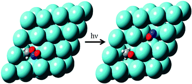 Graphical abstract: Infrared spectra of free radicals and protonated species produced in para-hydrogen matrices