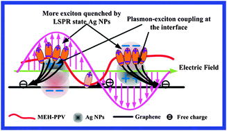 Graphical abstract: Employing the plasmonic effect of the Ag–graphene composite for enhancing light harvesting and photoluminescence quenching efficiency of poly[2-methoxy-5-(2-ethylhexyloxy)-1,4-phenylene-vinylene]