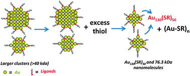 Graphical abstract: Synthesis of Au130(SR)50 and Au130−xAgx(SR)50 nanomolecules through core size conversion of larger metal clusters
