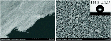 Graphical abstract: Facile fabrication of robust superhydrophobic multilayered film based on bioinspired poly(dopamine)-modified carbon nanotubes