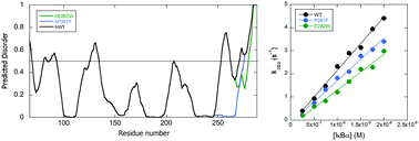 Graphical abstract: Predicted disorder-to-order transition mutations in IκBα disrupt function