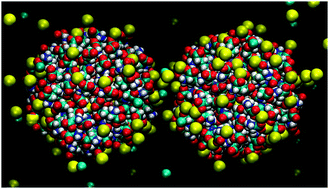 Graphical abstract: Interaction between functionalized gold nanoparticles in physiological saline