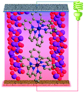 Graphical abstract: Investigation of the kinetic and mass transport limitations in thermoelectrochemical cells with different electrode materials