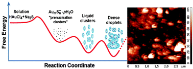 Graphical abstract: Direct observation of liquid pre-crystallization intermediates during the reduction of aqueous tetrachloroaurate by sulfide ions