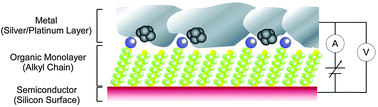 Graphical abstract: Construction of a metal–organic monolayer–semiconductor junction on a hydrogen-terminated Si(111) surface via Si–C covalent linkage and its electrical properties