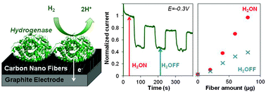 Graphical abstract: Carbon nanofiber mesoporous films: efficient platforms for bio-hydrogen oxidation in biofuel cells