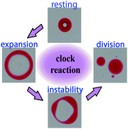 Graphical abstract: Fatty acid droplet self-division driven by a chemical reaction