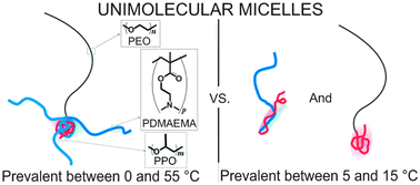 Graphical abstract: Effects of architecture on the stability of thermosensitive unimolecular micelles