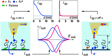 Graphical abstract: Probing the conformation and 2D-distribution of pyrene-terminated redox-labeled poly(ethylene glycol) chains end-adsorbed on HOPG using cyclic voltammetry and atomic force electrochemical microscopy